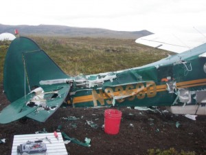 bear damaged plane